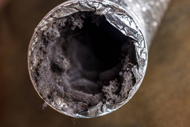Best Local Air Duct Cleaning Services  in Greene, RI